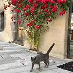 La Maison - & Hotel