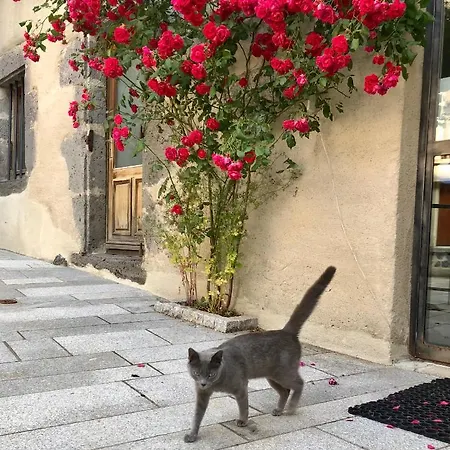 La Maison - & Hotel
