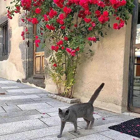 Hotel La Maison - & *
